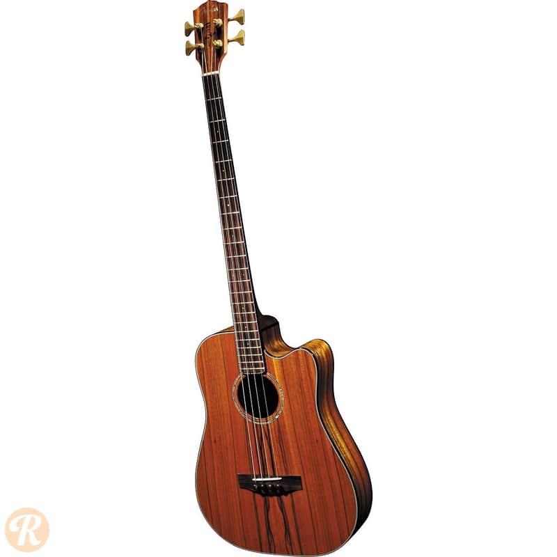 Fender Victor Bailey Acoustic Bass Natural 2008 image 2