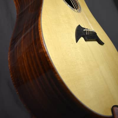 2010 Breedlove Special Edition Focus D image 20
