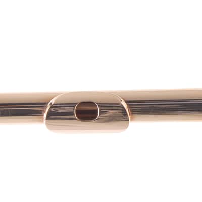 William S. Haynes Custom 14K Gold Flute with Gold Toneholes, Offset G, C# Trill image 16