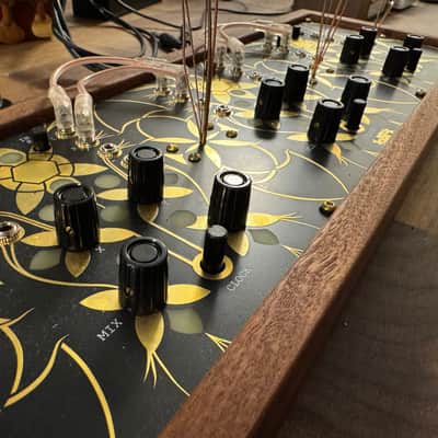 Folktek Resonant Garden Electro-Accoustic Insturment 2020 - Gold image 2