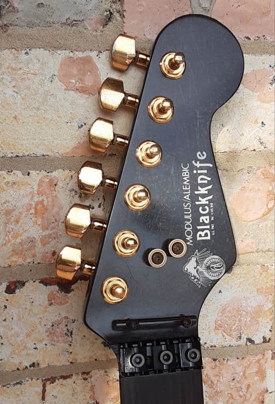 Modulus Alembic Blackknife carbon fiber Strat neck image 1