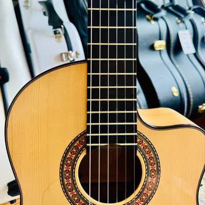 Juan Fernandez Utrera Cypress Cutaway 2021 image 2