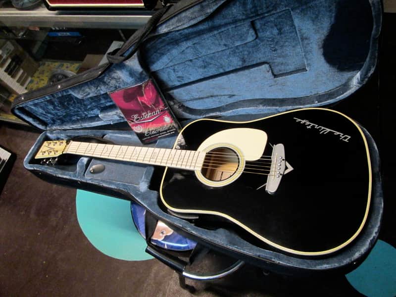 ESTEBAN Acoustic Electric Guitar The Vintage Limited Edition LOCAL ONLY image 1