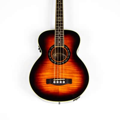 Fender T-Bucket Acoustic Bass E Owned by Matt Freeman Of Rancid image 2