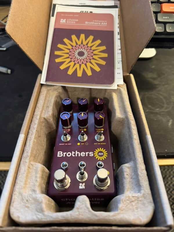Chase Bliss Audio Brothers AM
