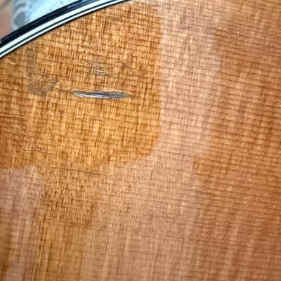 Taylor 710 KCE 1997 image 7