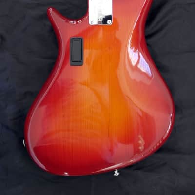 Pedulla Rapture RB 4 Cherry Burst image 4