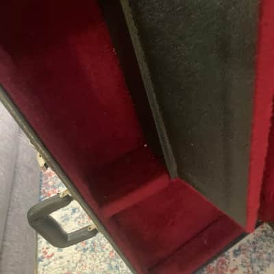 Electra Bass hard case image 4