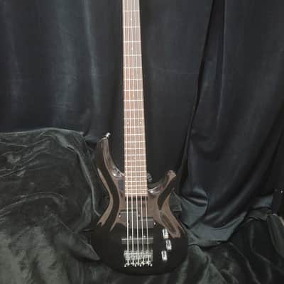Aria Pro ii Magna Series 5-String 1999 Black Gloss Electric Bass