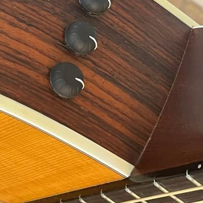 Taylor 210e with Taylor Electronics - Spruce and Rosewood Construction image 6
