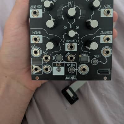 Make Noise Morphagene Module | Reverb