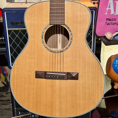 Tasman TA100M EL LEFTY ZURDA GS Mini ( Sitka Solid Ovangkol Back & Sides) image 3