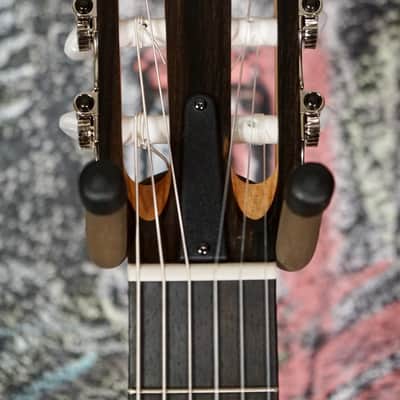 Taylor 200 Series 214ce-N Walnut/Spruce image 4