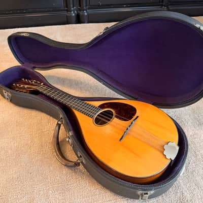 1919 Martin Mandolin {style A}  - excellent condition image 1