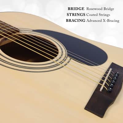 Berkeley Dreadnought OP Acoustic Guitar image 3