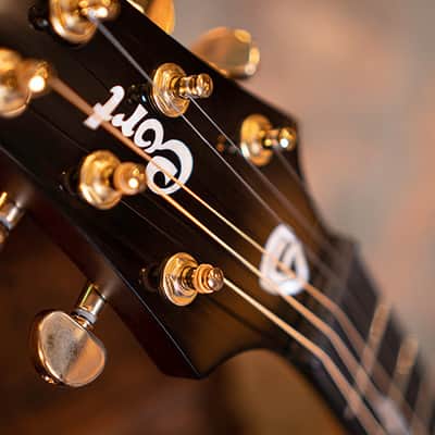 Cort LUXE II | Frank Gambale Signature Concert Acoustic Electric Guitar. New with Full Warranty! image 17