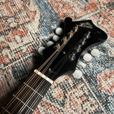 The Loar LM-590 Contemporary F-Style Mandolin Matte Sunburst image 4