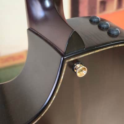 Taylor Builders Edition K14ce 2018 image 5