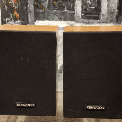 Kenwood Vintage Kenwood Full Range Shelf Speakers LSK 02S 80s