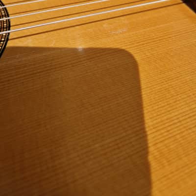 Martin Fleeson Classical guitar 1980 image 2