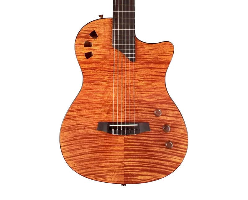 Cordoba Fusion Stage Cutaway A/E Nylon String Guitar - Natural Amber image 1