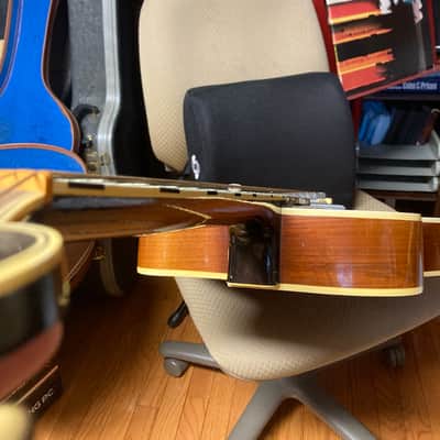 Levin SOLIST MODEL 2 1955 - Honey Burst image 14