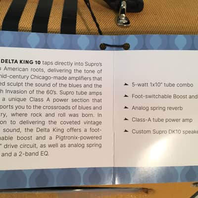 Supro Delta King 10 5-Watt 1x10-Tube Amp for Guitar -Tweed & Black-Model 1820RTB image 6
