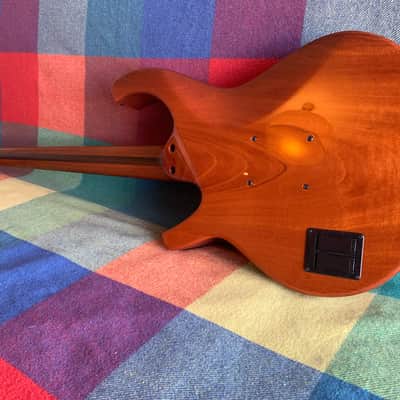 Citron AE5 Swallow Custom 2014 Dark brown image 5