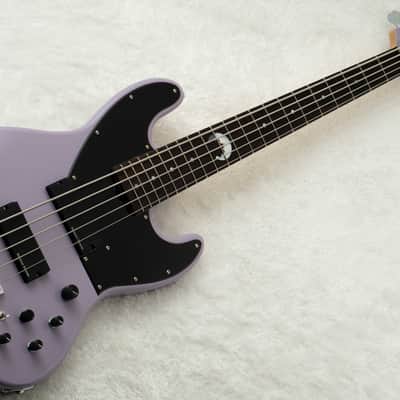 Schecter AC-EXB-5-AveMujica/Timoris/SIG #260313 2026 [Ave Mujica