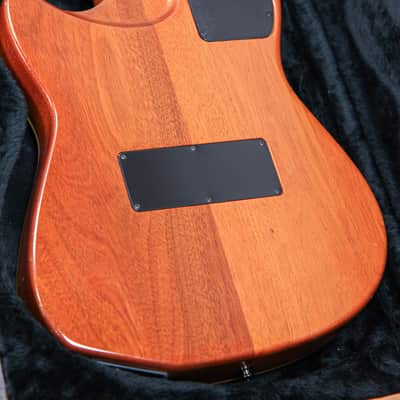 Godin Multiac Steel Duet Ambiance | Natural image 14