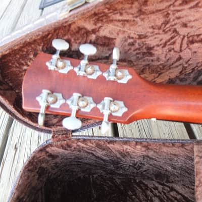 Bedell Coffee House Orchestra - Aged Natural image 5