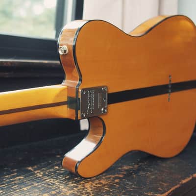Prinz of Tone! Hohner The Prinz Mad Cat Prince Telecaster with Bookmatched Flamed Maple Top image 21