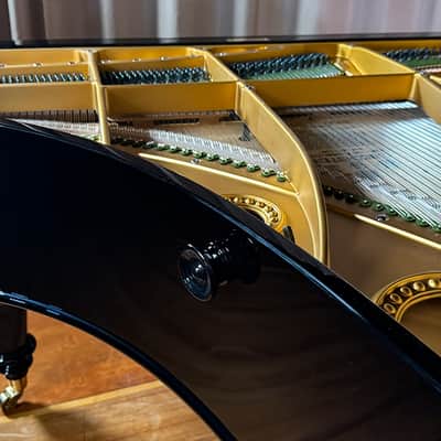 C. Bechstein B 1919 - Ebony Polish image 7