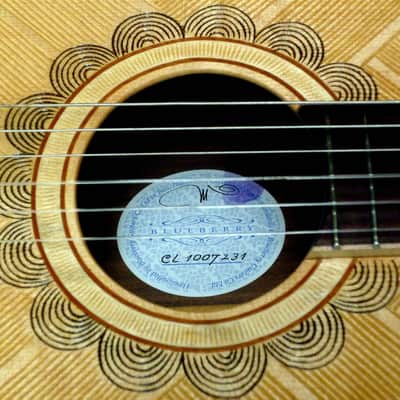 Blueberry Guitar Classical Nylon String 2023 - Hand Carved & Handmade image 8