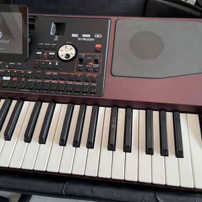 Korg PA1000 61-Key Professional Arranger 2017 - Present - Red image 5