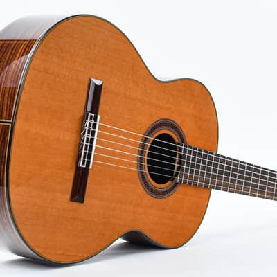Cordoba C7 B Stock image 12