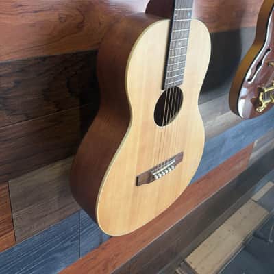 Recording King EZ tone parlor A acoustic - ultra thin Polyurethane image 6