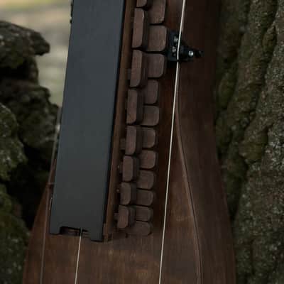 Hurdy-Gurdy - 19 keys - 3 string - Hurdy Gurdy Musical Instrument Lyre image 8