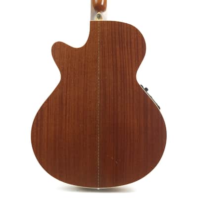 Parkwood Acoustic Owned by Greg Howe image 6