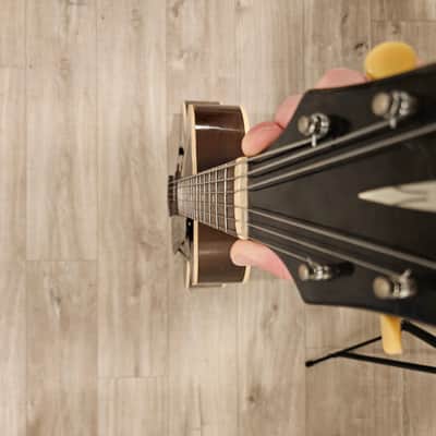 Epiphone Zenith 1938 - Sunburst image 12
