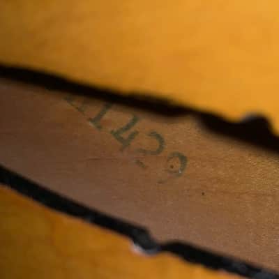 *RARE* 1959 Silvertone 1429 Hollow Body 6-String Electric Guitar w/ Case (Rm3) image 11