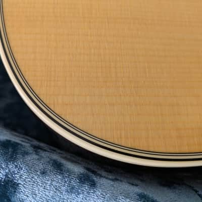 2025 Martin D-28 / L R Baggs Anthem/ Martin gigbag image 8