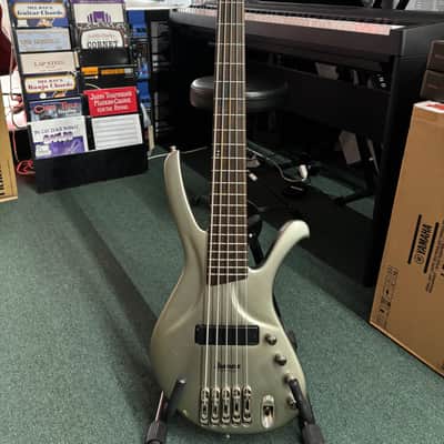 Ibanez Ergodyne EDA 905 Silver Flat 5-String image 1