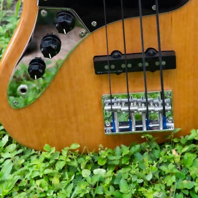 Sire v5  LEFT-HANDED 2nd gen. bass  Alder/ Roasted Maple 4-string image 9