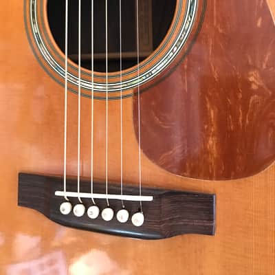 Martin M38 1979 image 2