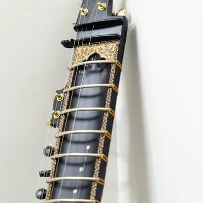 TRAVEL SITAR- HARD CASE INCLUDED image 2