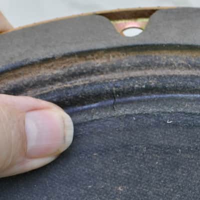 Immagine Fender Labeled Oxford 10J4-6  10 Inch Speaker - 8