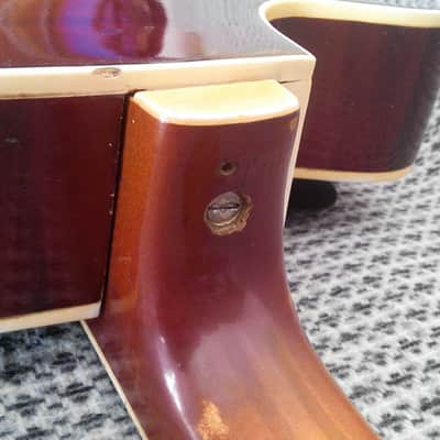 Musima 1653 50-60ss 2 Color Sunburst image 11