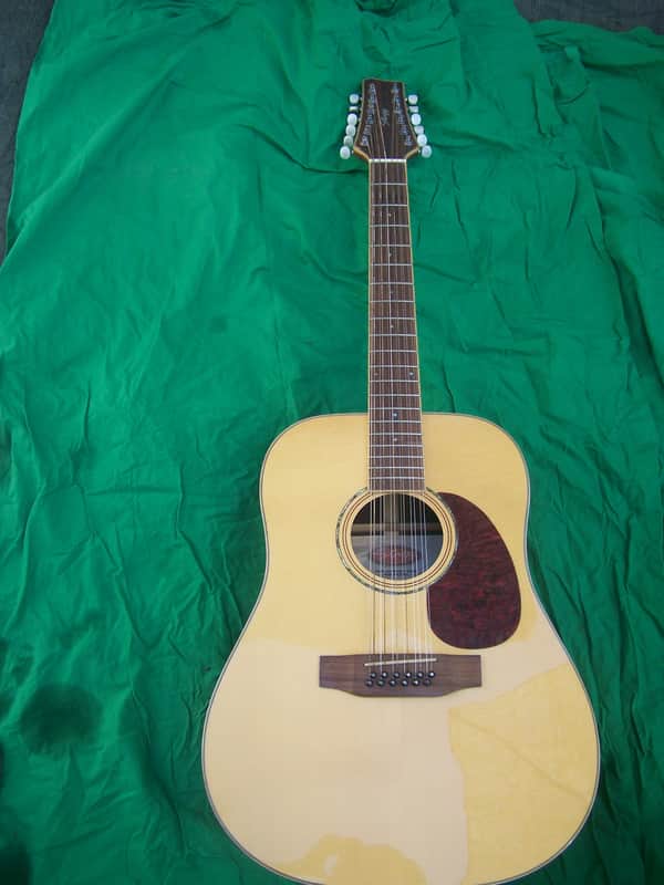 Stagg 12 String Acoustic Electric Guitar image 1
