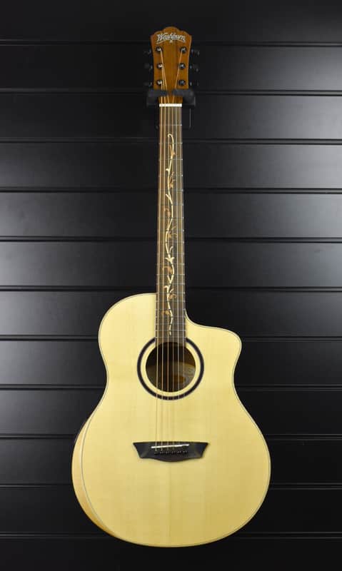 Washburn BTSC40-SCE image 1